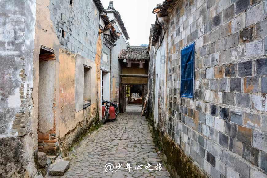 动物帮帮忙保卫家园